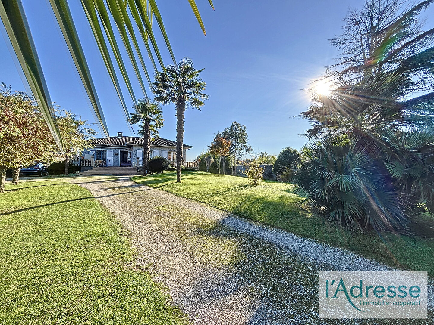 Maison FENOUILLET (31150) 7 pièces 220.00 m²